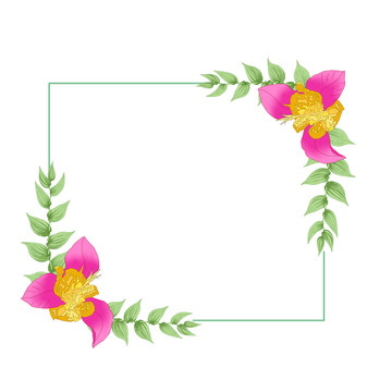 花朵邊框