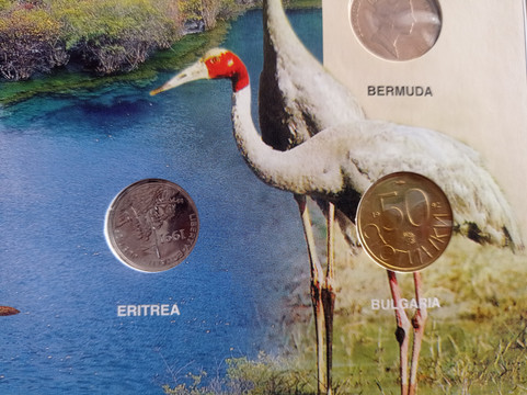 厄利特里亚货币