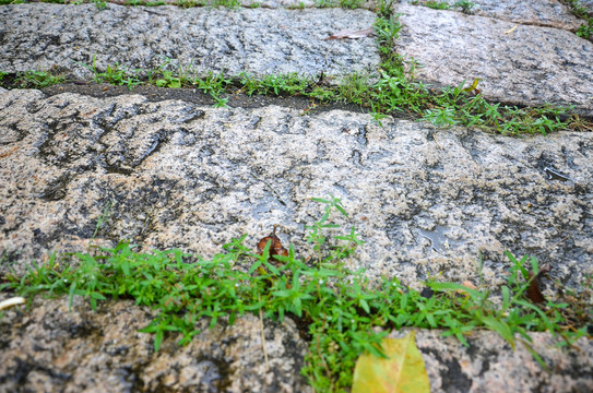 雨天石路