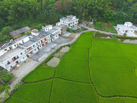 广东农村房屋