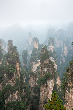 神兵聚会景点