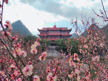 贵州醇景区的春天