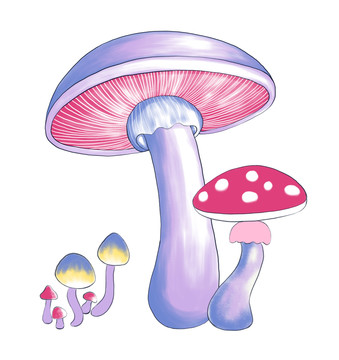 手繪蘑菇