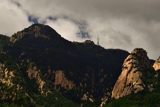 高山云雾