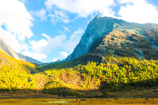 高山