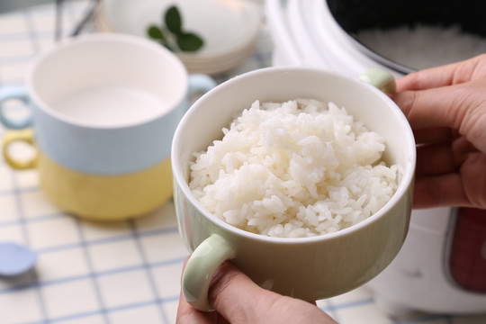 白米飯