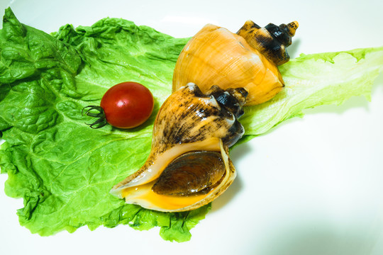 摆放在瓷盘里的生菜叶上的海螺