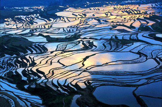 田园梯田