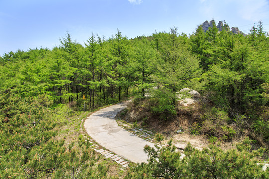 青岛崂山春光