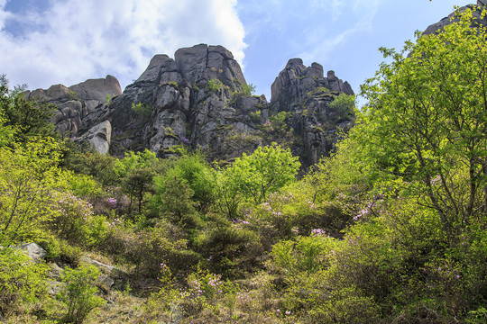 青岛崂山春光