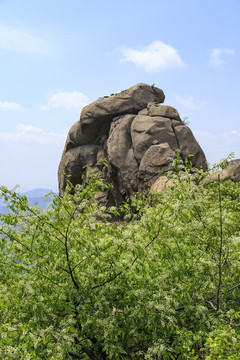 青岛崂山春光