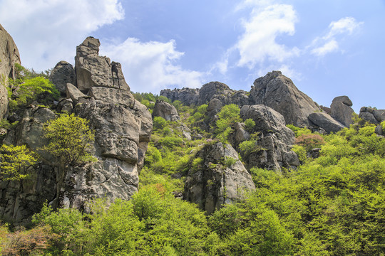 青岛崂山春光