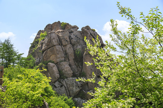 青岛崂山春光