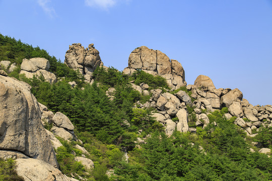 青岛崂山春光