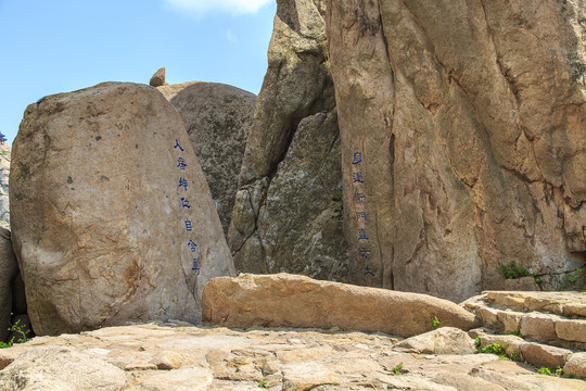 青岛崂山春光