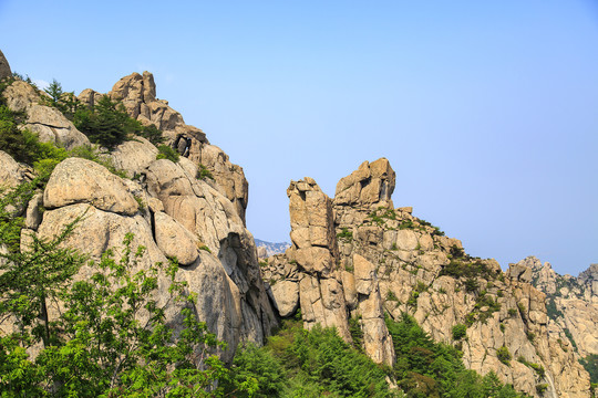 青岛崂山春光