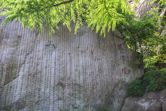 青岛崂山春光