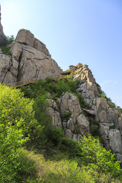 青岛崂山春光