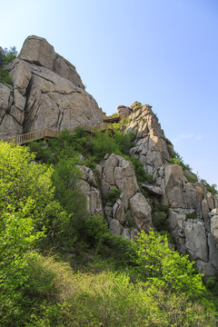 青岛崂山春光