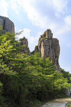 青岛崂山春光