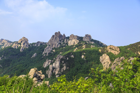 青岛崂山春光