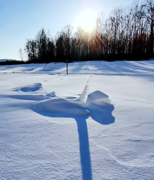 冰天雪地