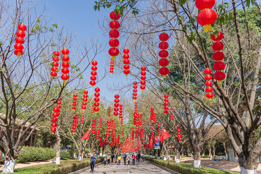 挂灯笼迎春节