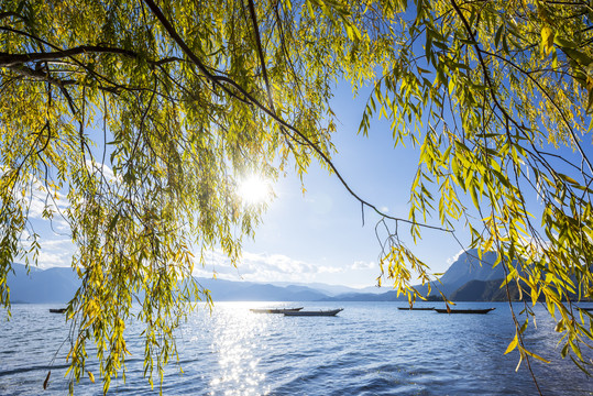 泸沽湖风光