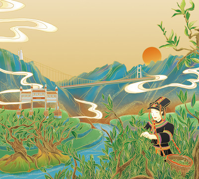 云南火山普洱茶插畫