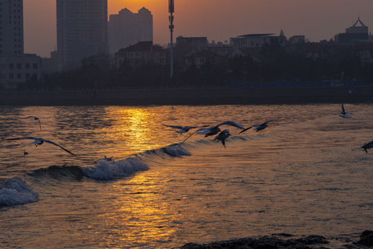 夕阳下的海水