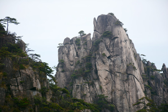 黄山怪石