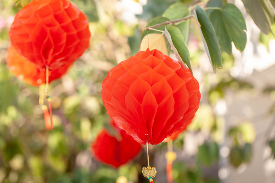 中国传统新年挂红灯笼挂