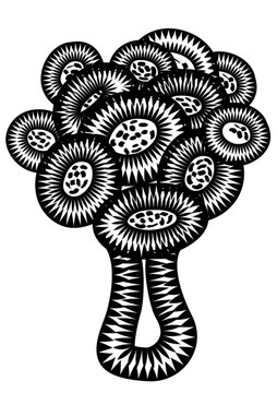 花裝飾