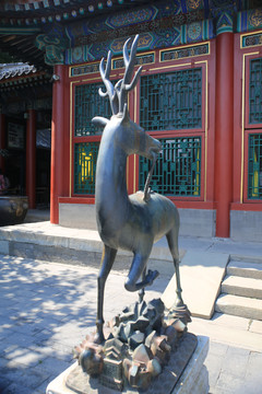 北京皇家园林颐和园乐寿堂前铜鹿