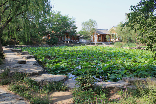 仿唐宋古建榆树庄公园