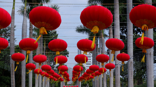 大红灯笼高高挂贺新年