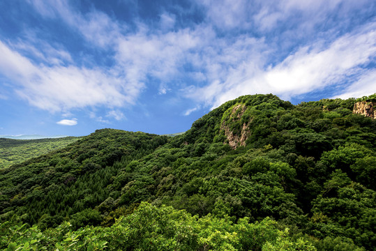 青山