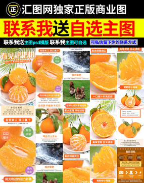 粑粑柑詳情頁