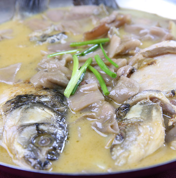 燉鯽魚