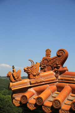 北京皇家园林颐和园四大部洲脊兽
