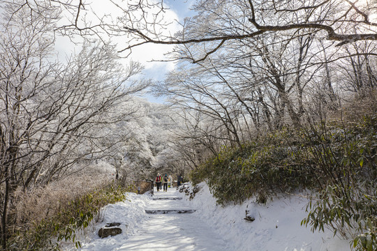 黄山