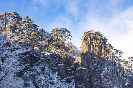 黄山