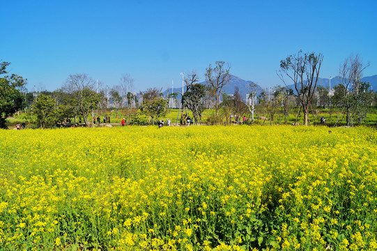 福州农村