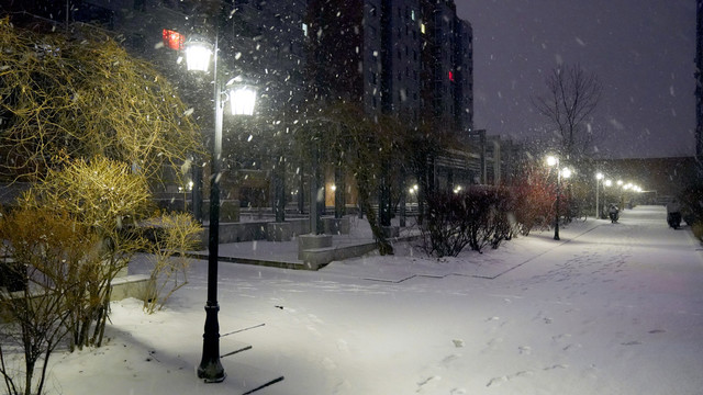 夜晚风雪中的小区园景