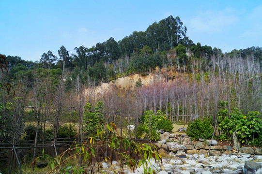 福州福山郊野公园