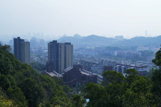 福山郊野公园