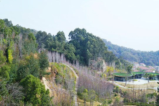 福山郊野公园