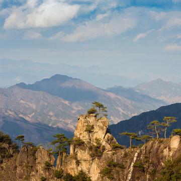 山与松