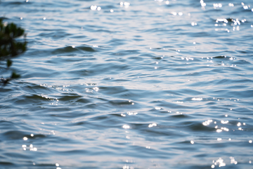 海水海面光点