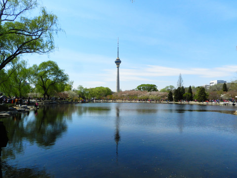 北京市玉渊潭公园